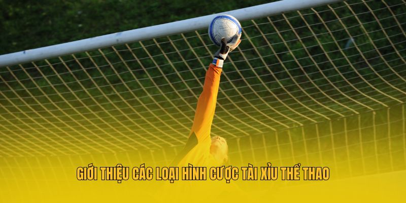 Giới thiệu các loại hình cược tài xỉu thể thao